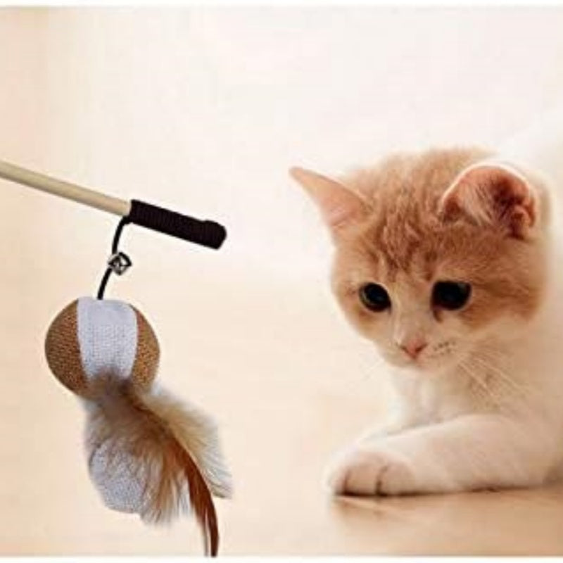 Teaser Feather Toys