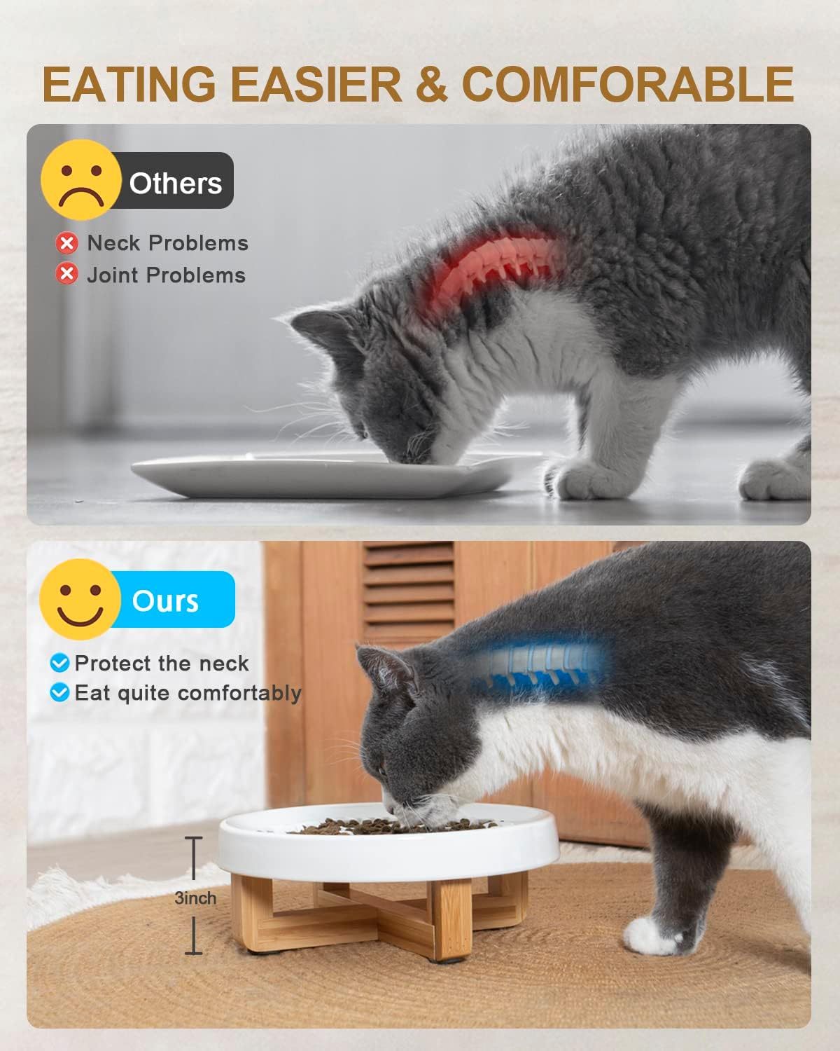 Ceramic Pet Feeder