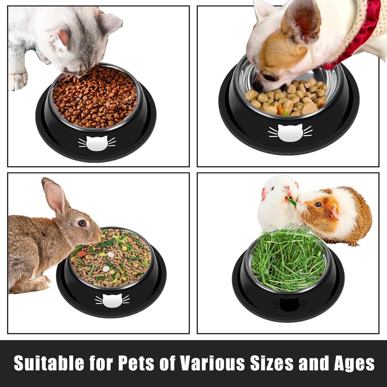 Pet Bowls