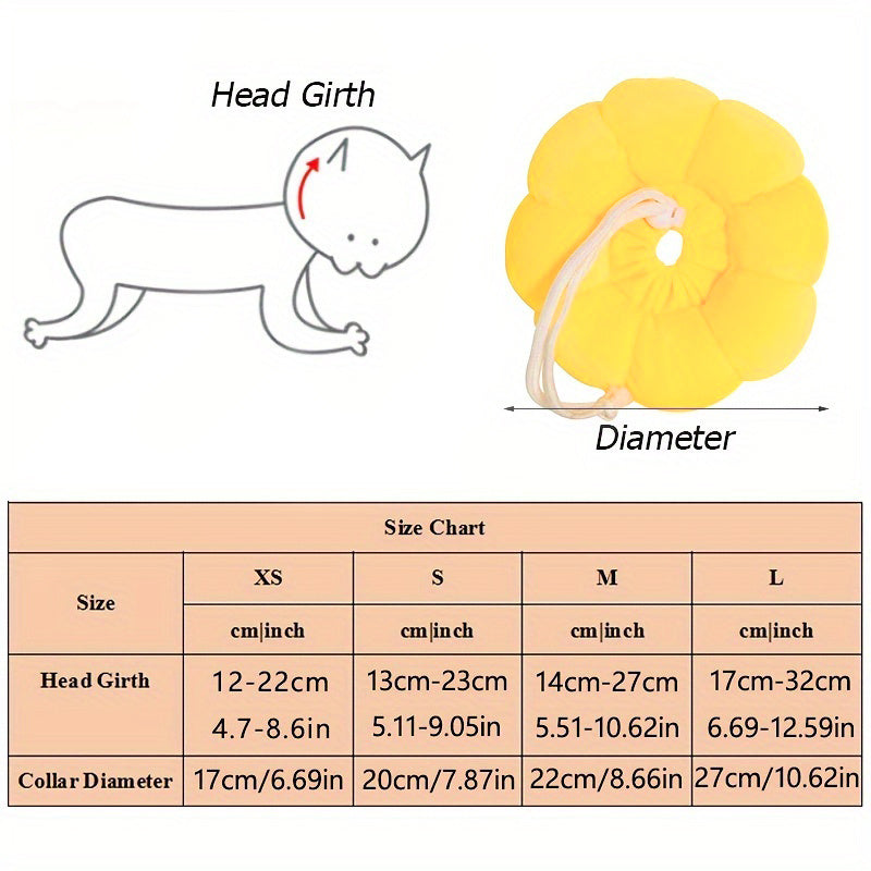 Cat Small Dog Recovery