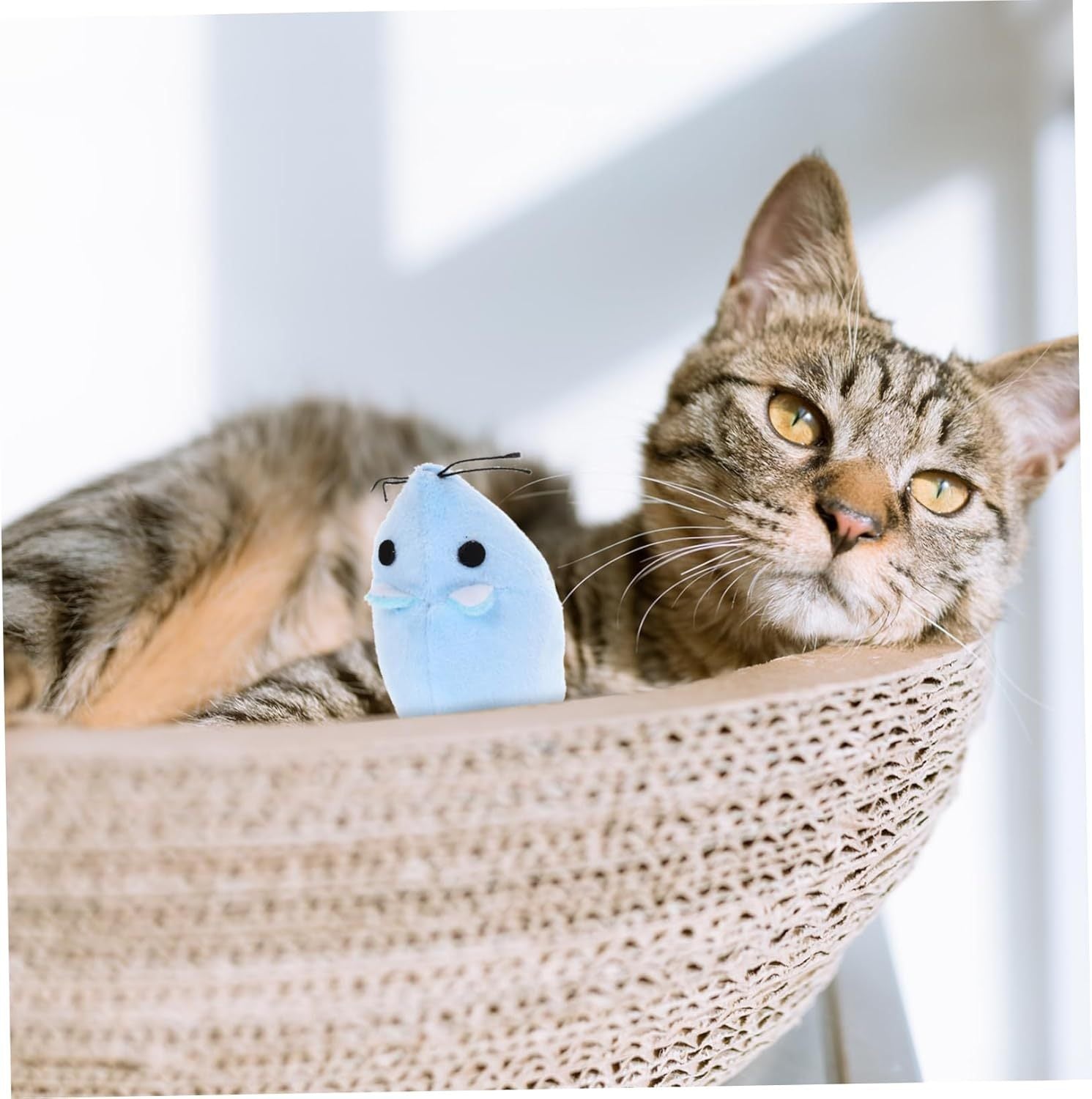 Cat Mice Toy