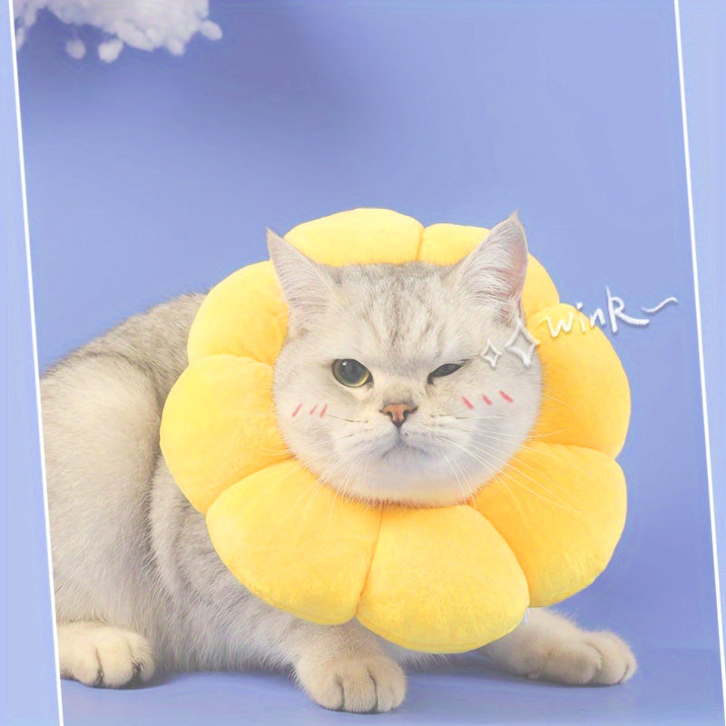Cat Small Dog Recovery