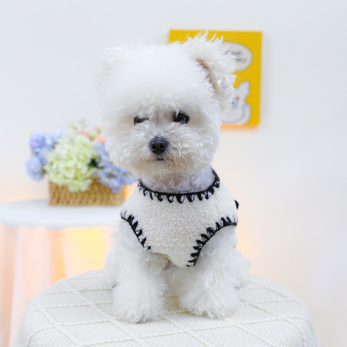 Dog Cat Vest
