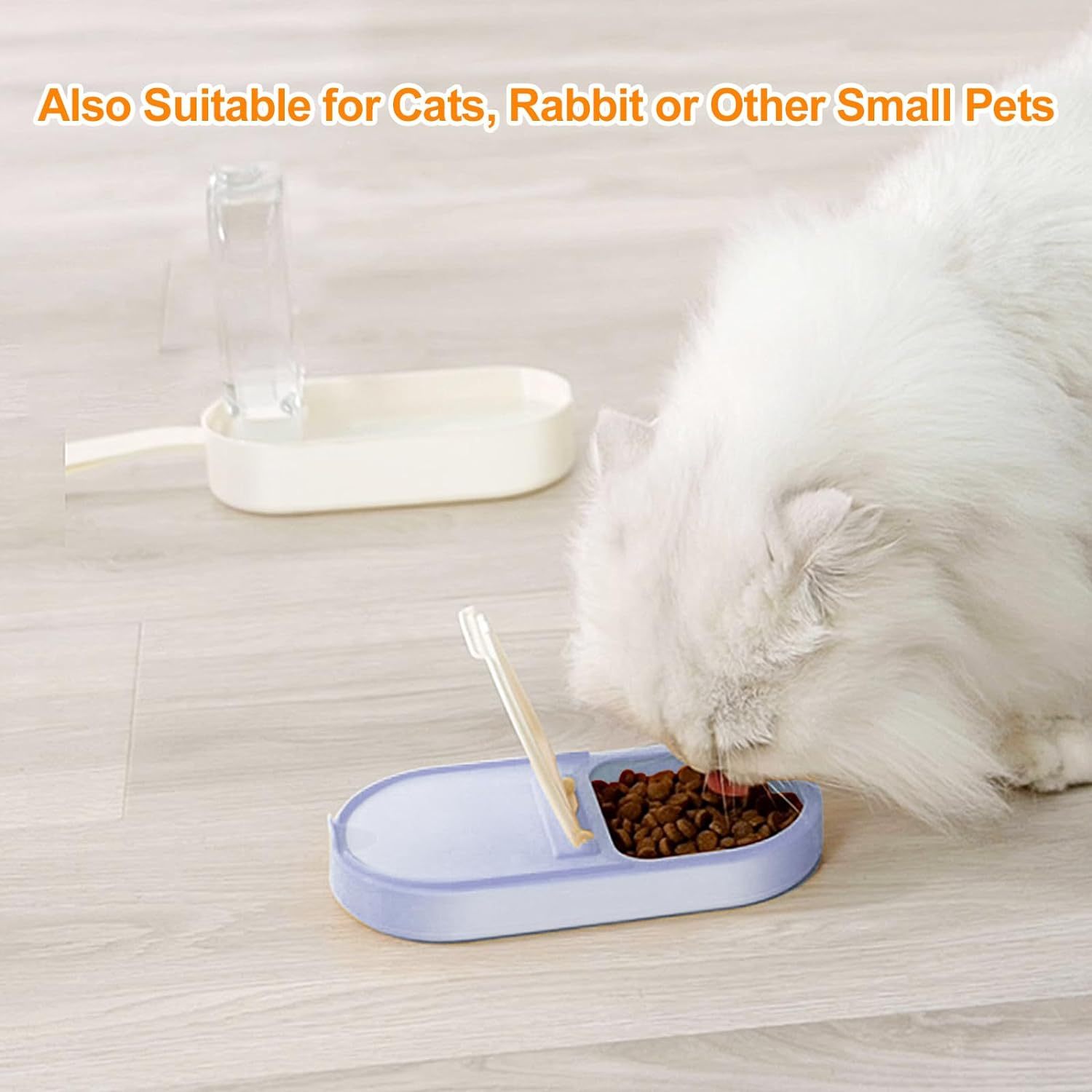 Water Food Container
