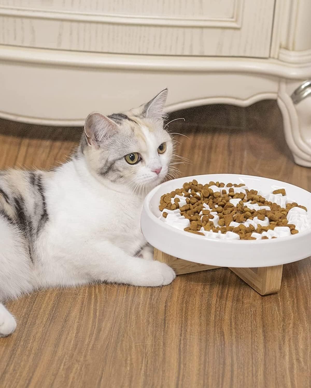 Ceramic Pet Feeder