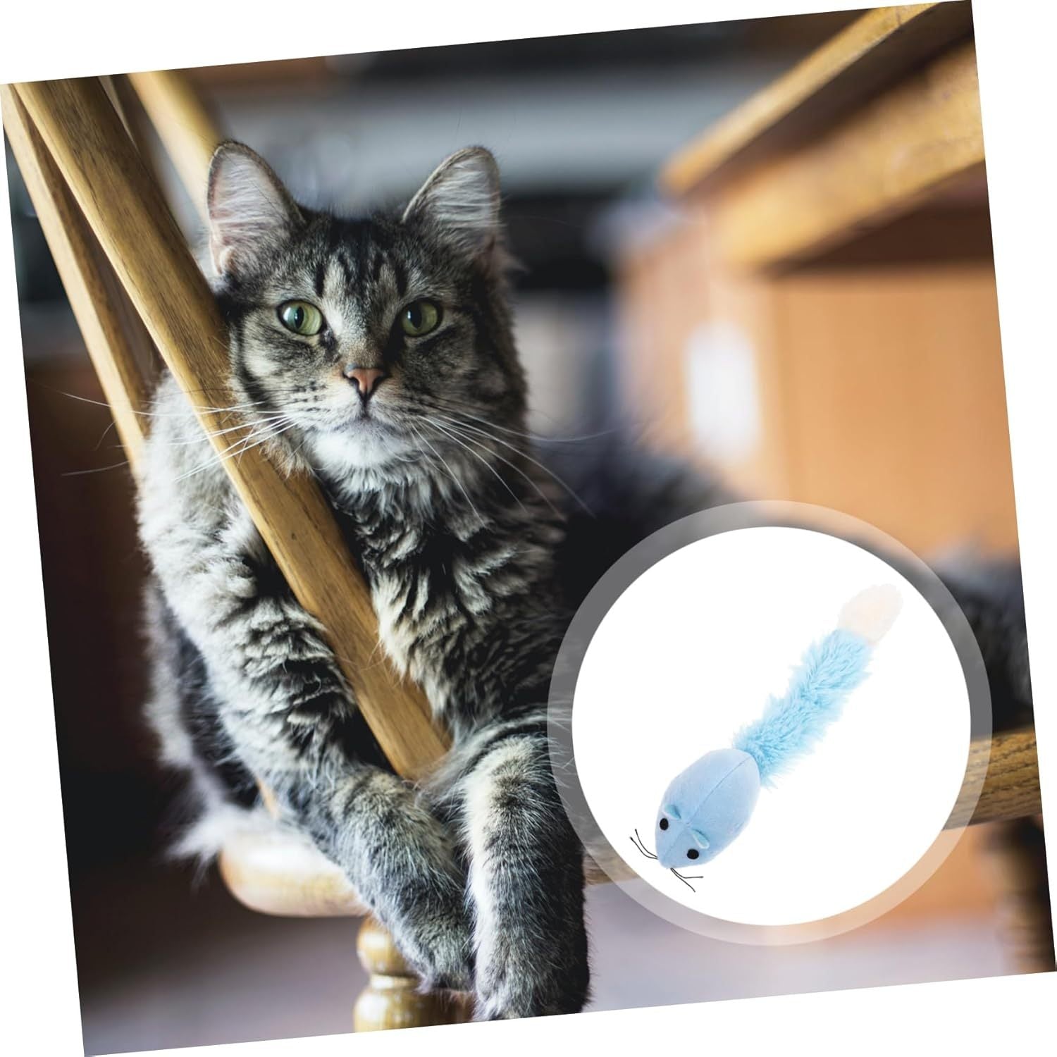 Cat Mice Toy
