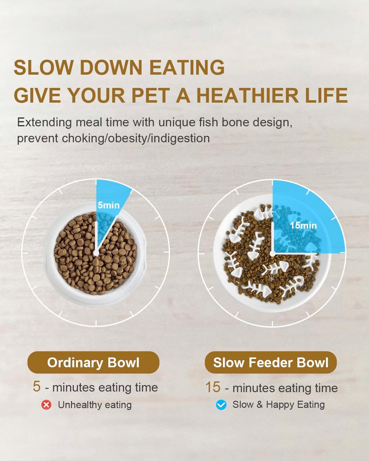 Ceramic Pet Feeder
