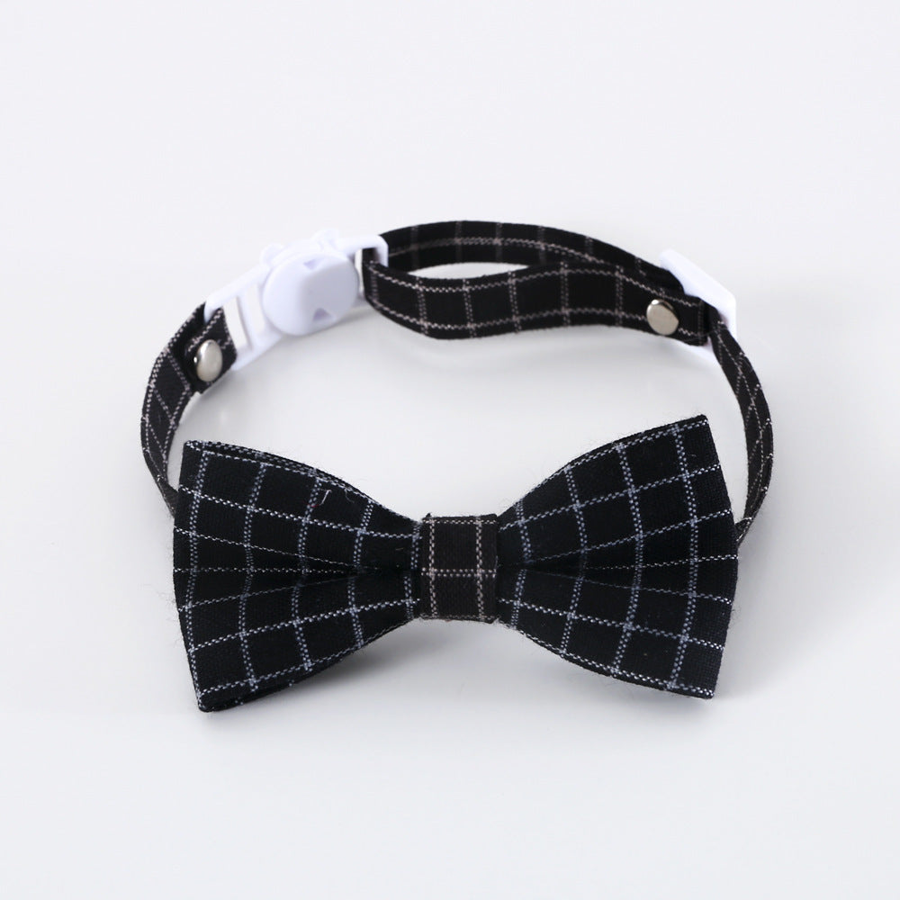 Pet British Style