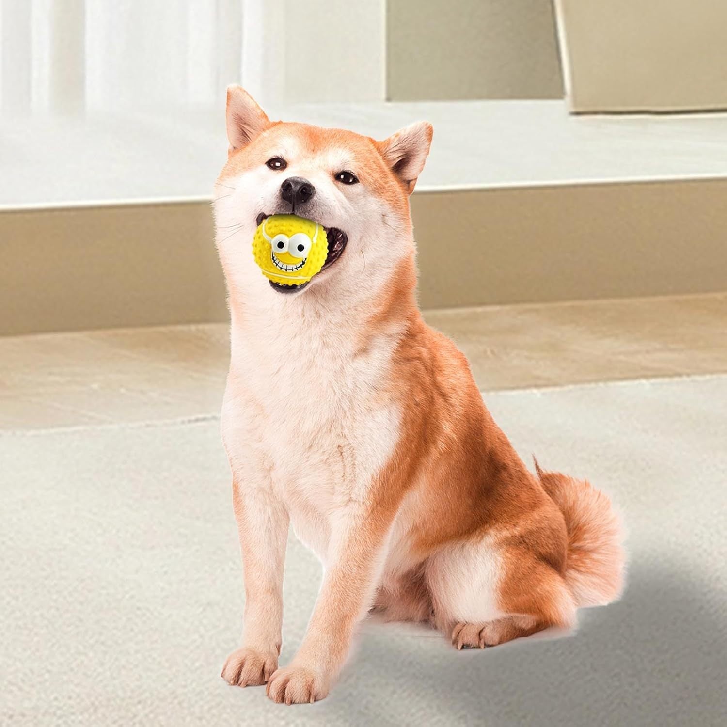 Dog Latex Balls Latex