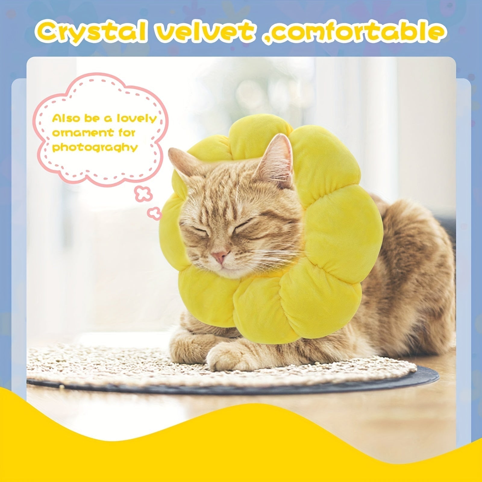 Cat Small Dog Recovery