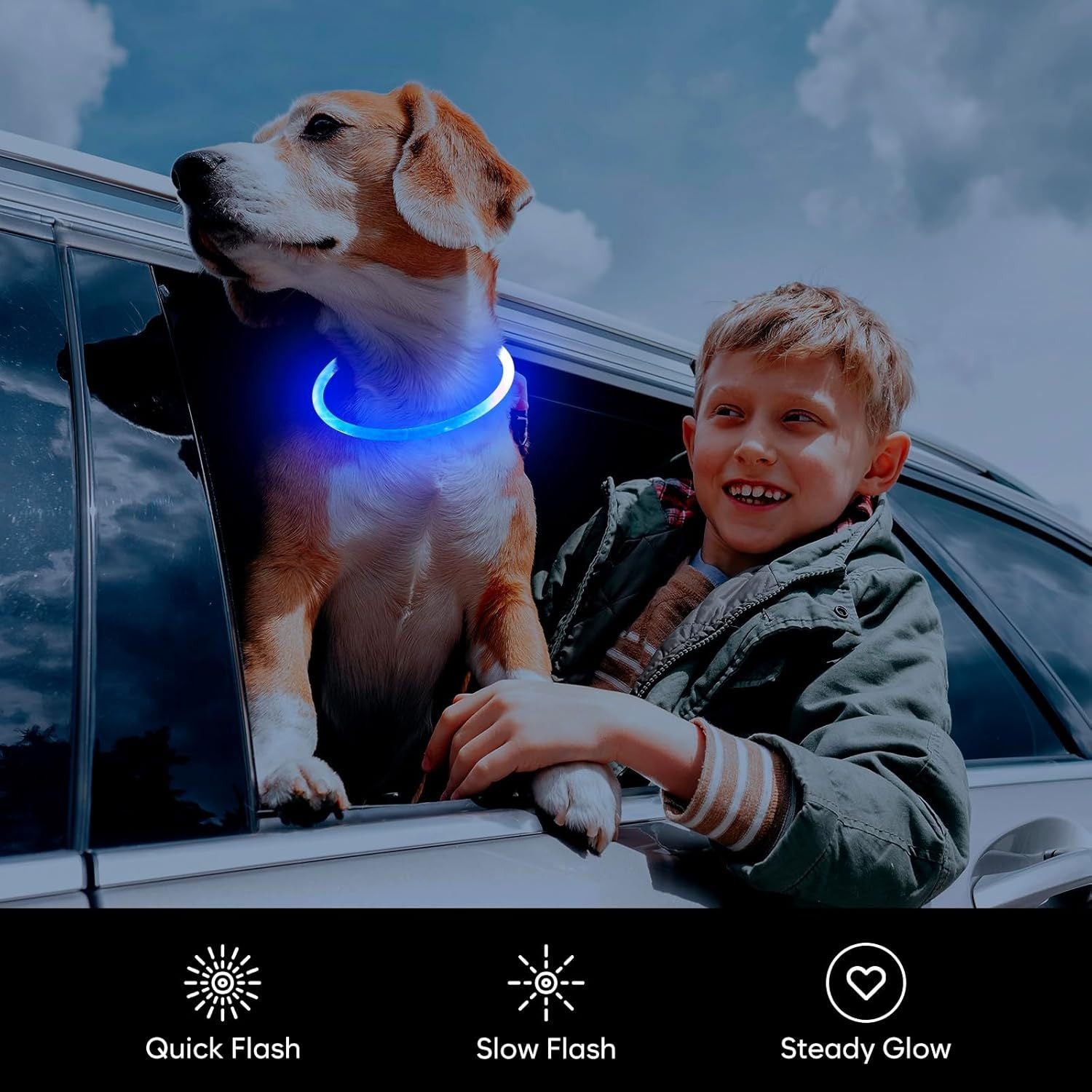LED Dog Collar USB Rechargeable Glowing Pet
