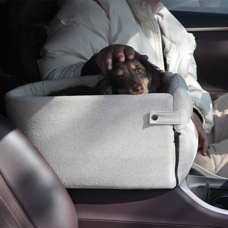 Car Central Dog Car