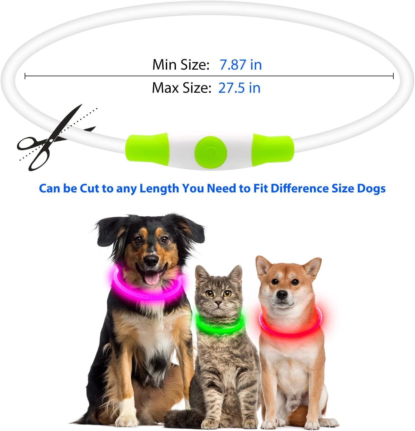 LED Dog Collar USB Rechargeable Glowing Pet
