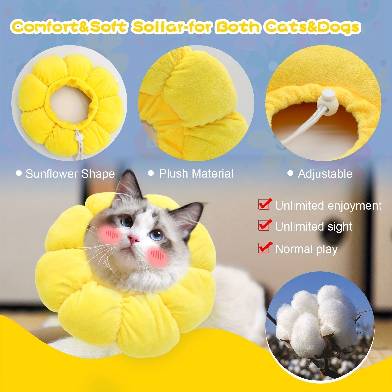 Cat Small Dog Recovery