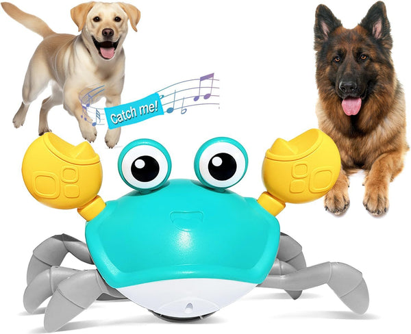 Crawling Crab Dog Toys