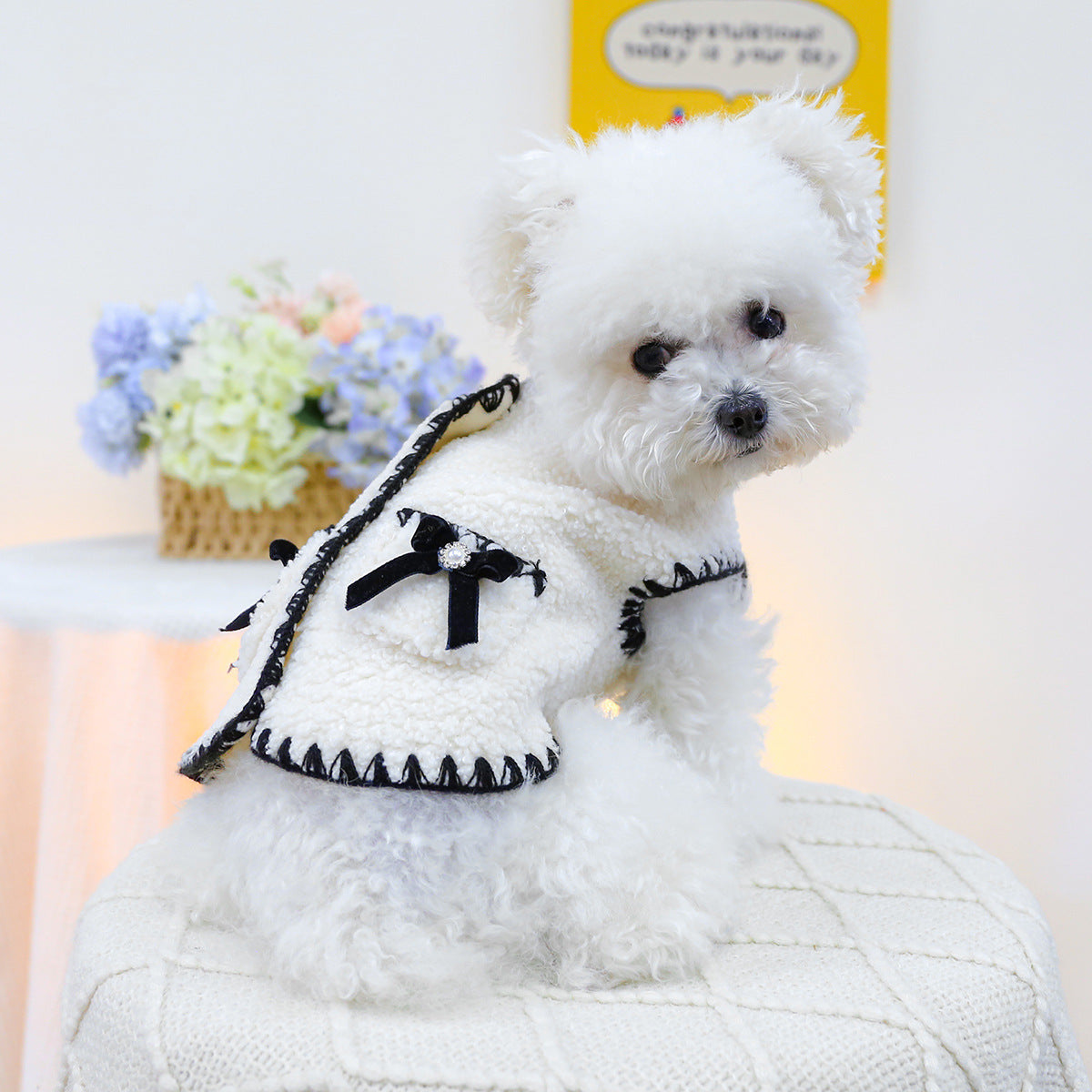 Dog Cat Vest