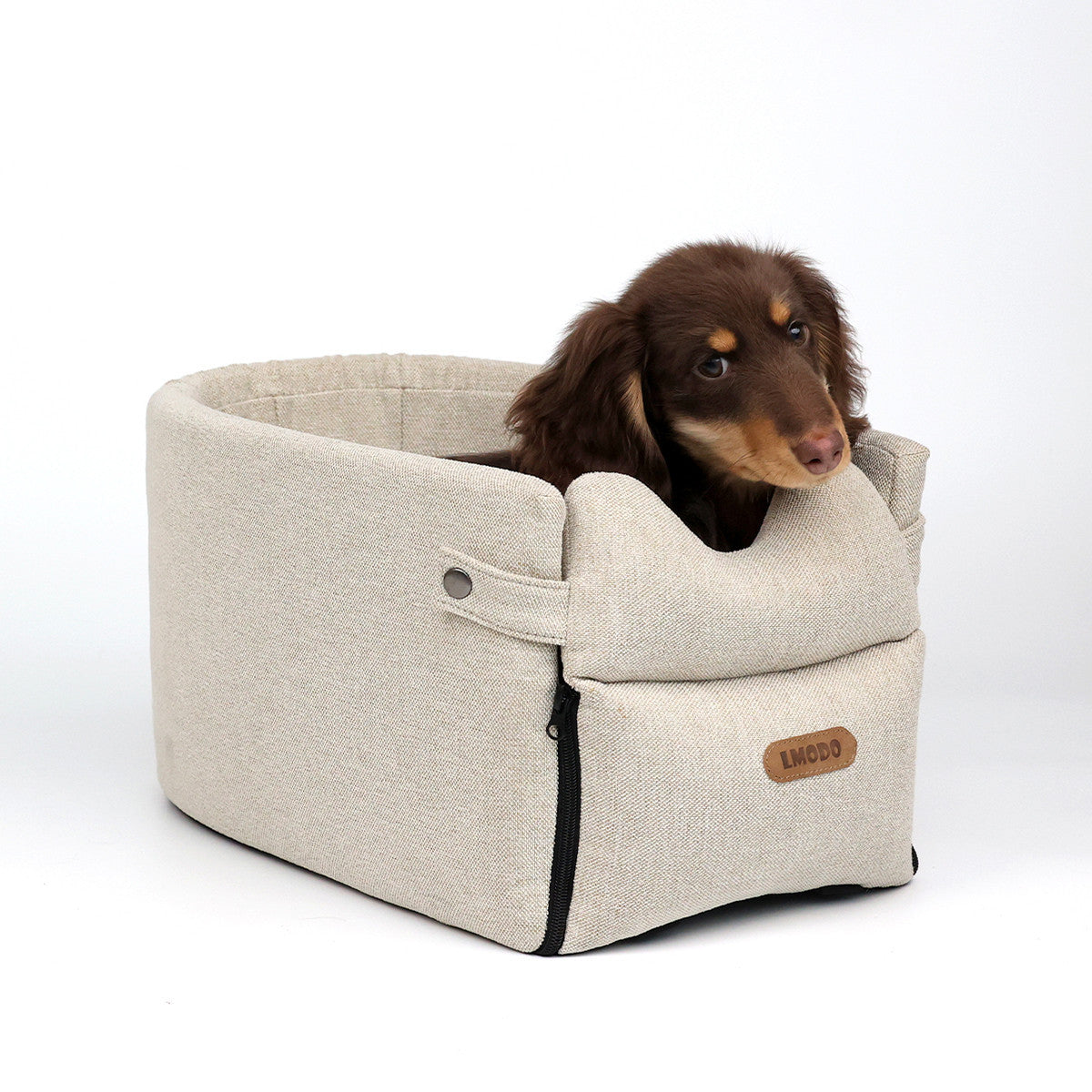 Car Central Dog Car