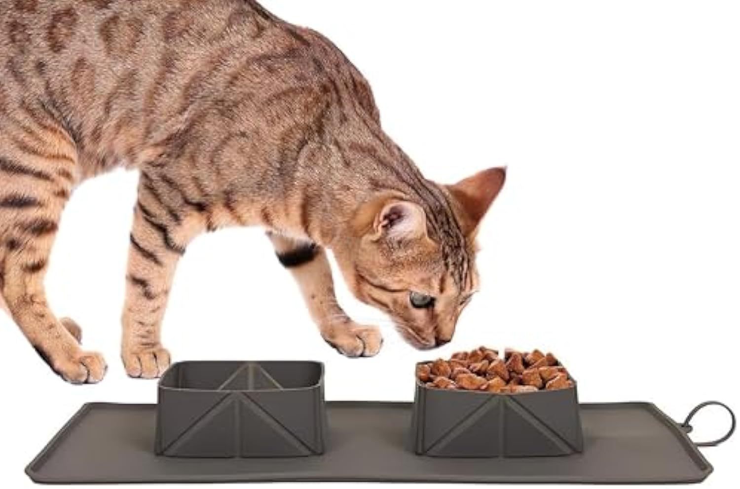 Generic Portable Pet