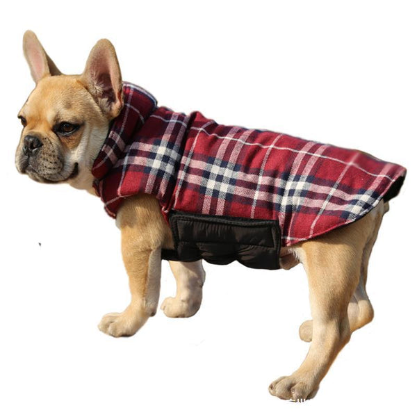 Pet Outdoor Clothes